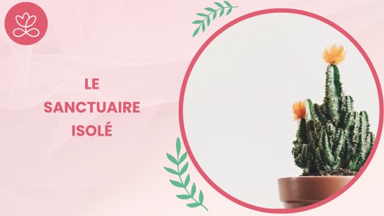 Semaine 5 : Le sanctuaire isolé (20 minutes)